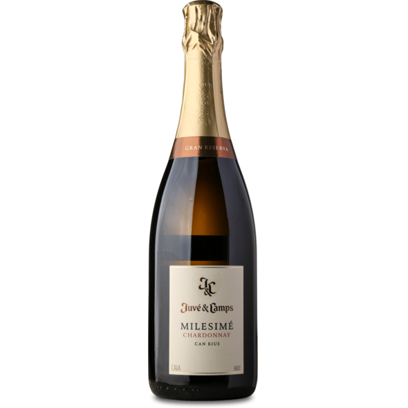 2019 Cava Milesimé Chardonnay, D.O. Cava de Guarda Superior Gran Reserva, Juve Y Camps