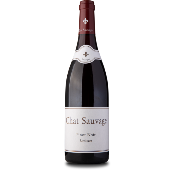 2019 Pinot Noir, Gutswein, Chat Sauvage