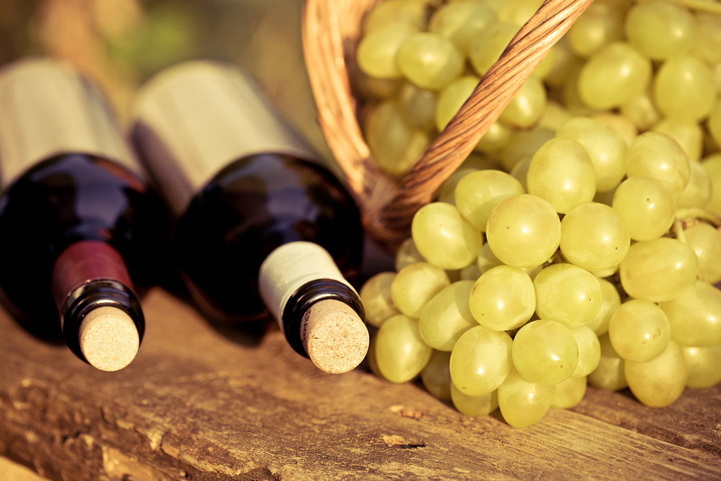 Italiensk Winemakers Tasting med Guerrieri-Rizzardi fra Veneto