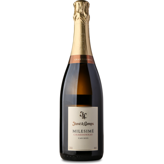 2019 Cava Milesimé Chardonnay, D.O. Cava de Guarda Superior Gran Reserva, Juve Y Camps