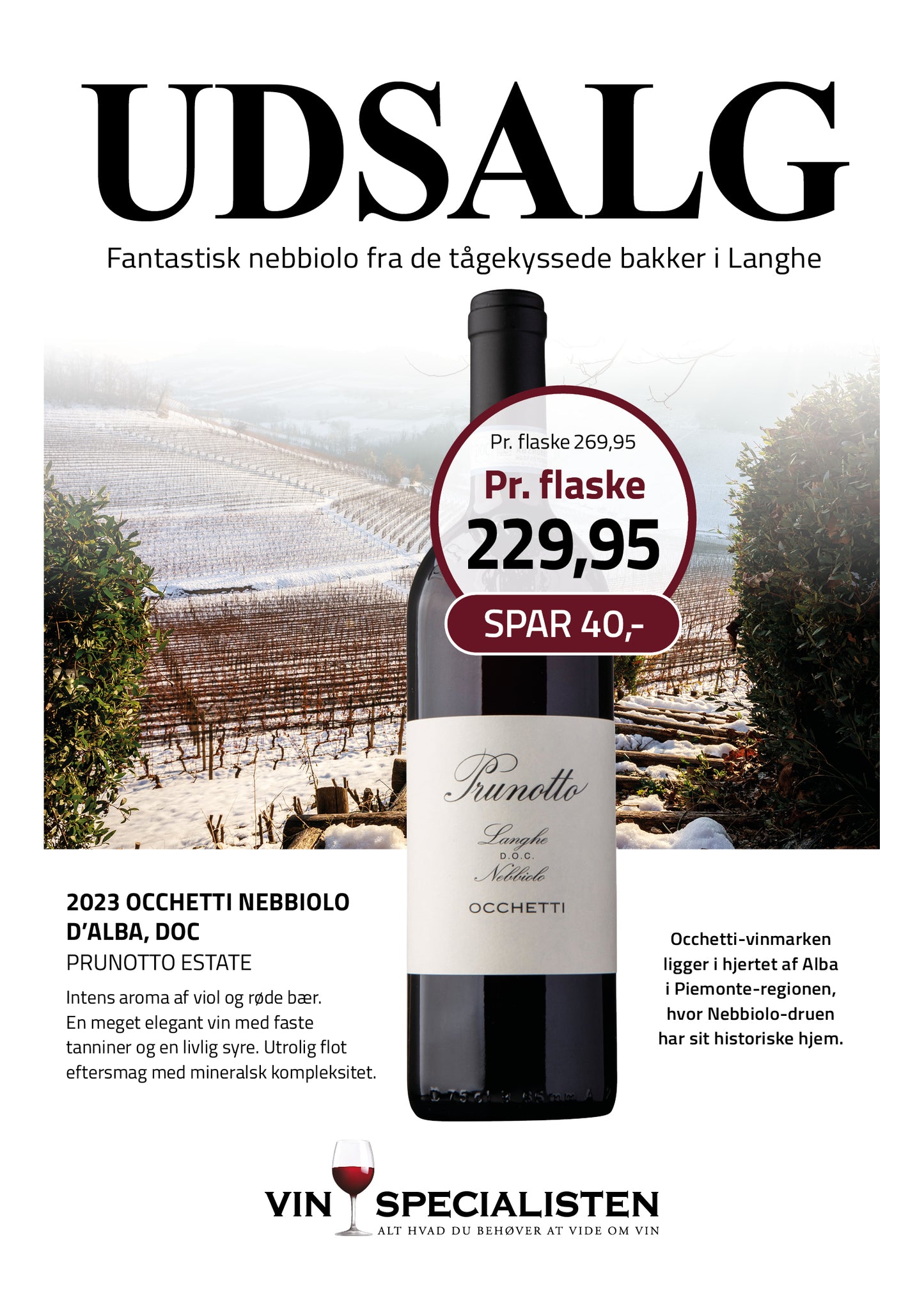 2023 Occhetti Nebbiolo d'Alba, D.O.C., Prunotto Estate