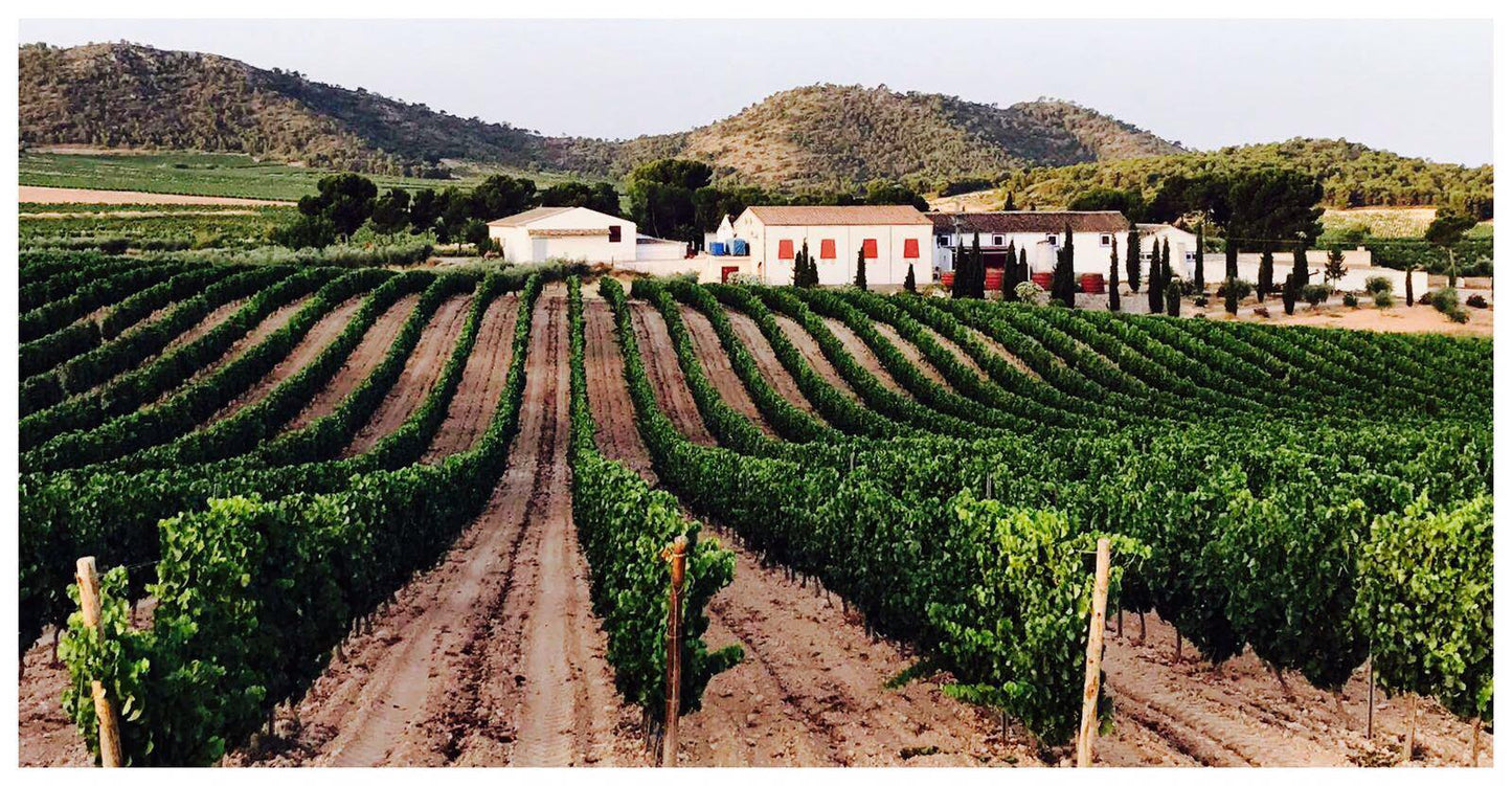 Vinsmagning 25. marts kl. 18.30 - "Spanien rundt"